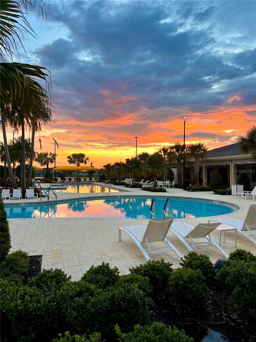 31349 CABANA RYE AVE, SAN ANTONIO, FL, 33576