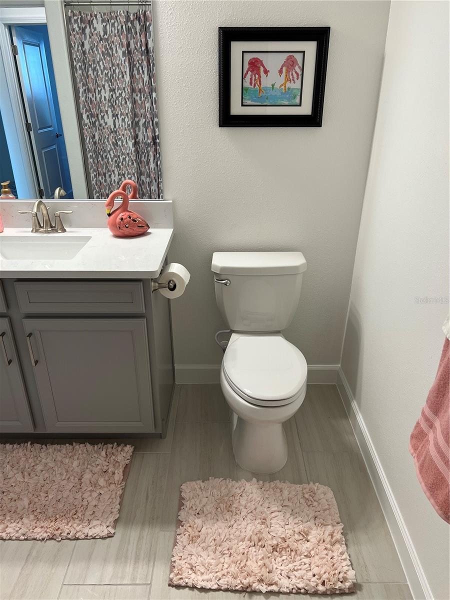 31349 CABANA RYE AVE, SAN ANTONIO, FL, 33576