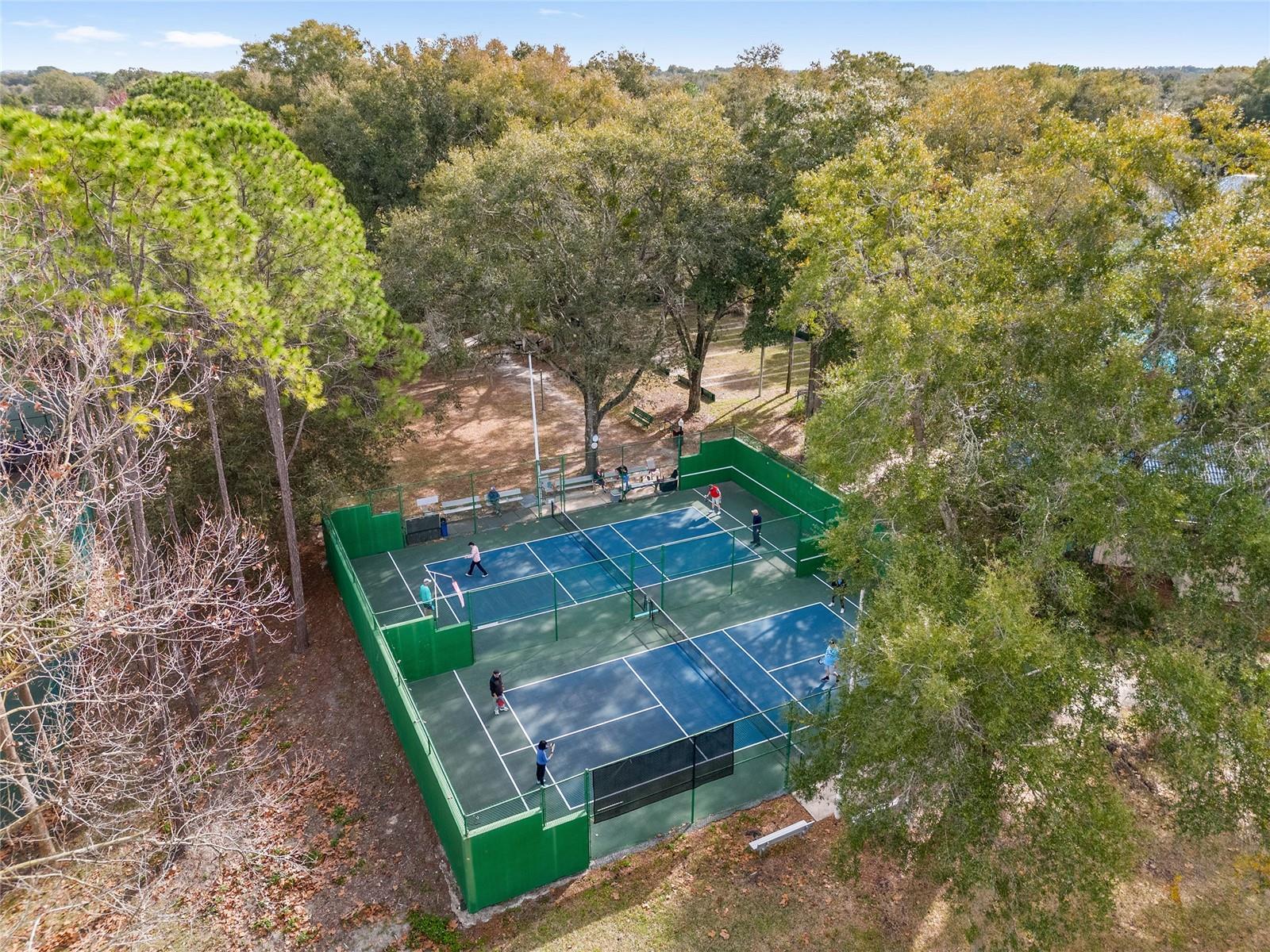 6688 SW 113TH PL, OCALA, FL, 34476