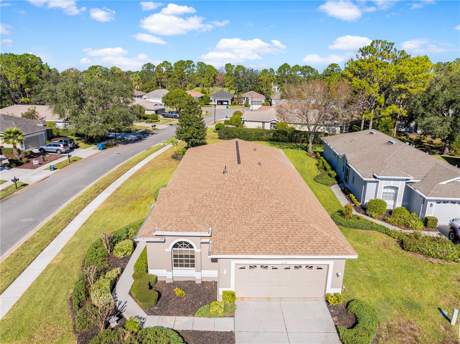 4201 SILVER BERRY CT, SPRING HILL, FL, 34609