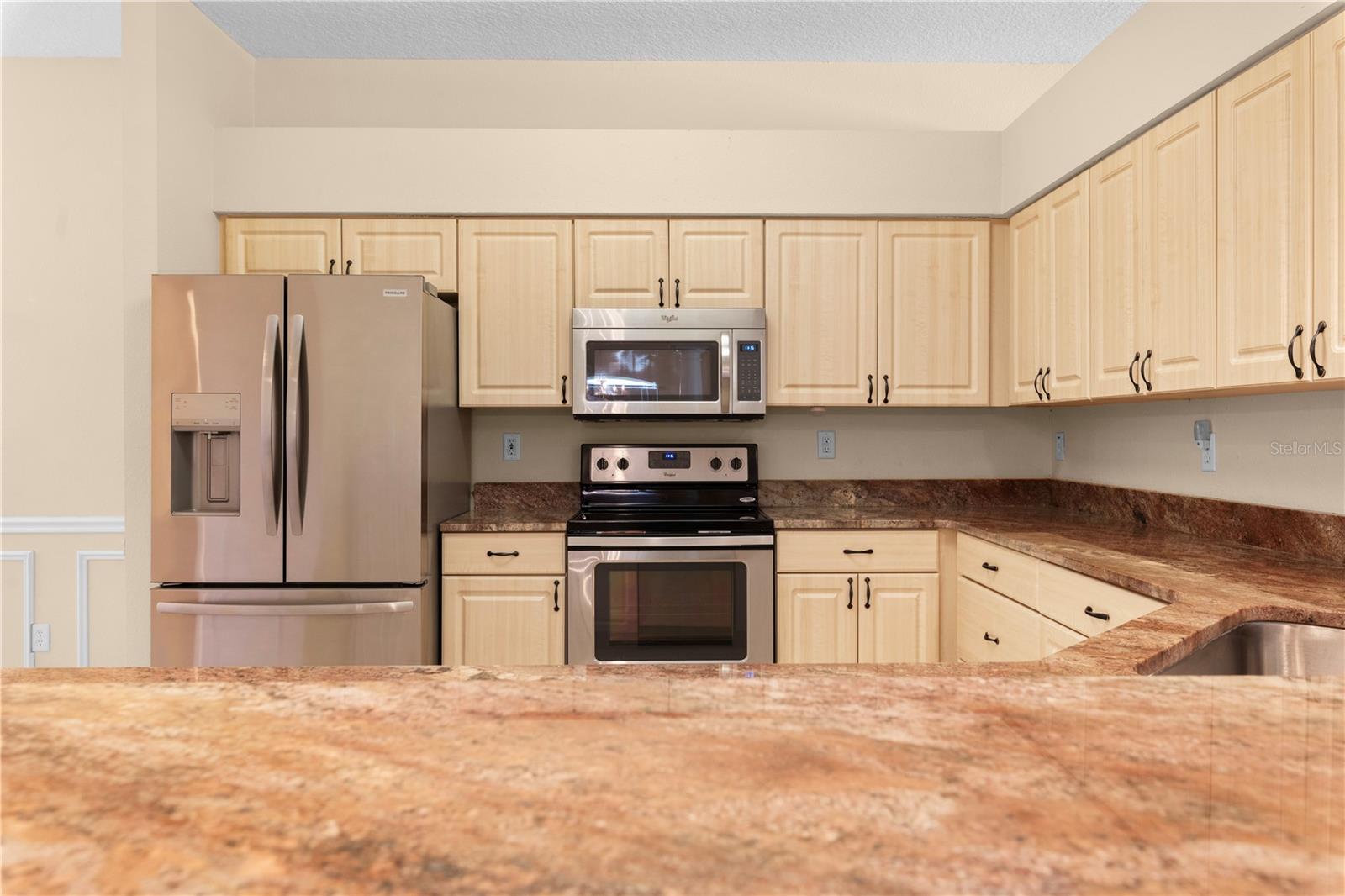 4201 SILVER BERRY CT, SPRING HILL, FL, 34609