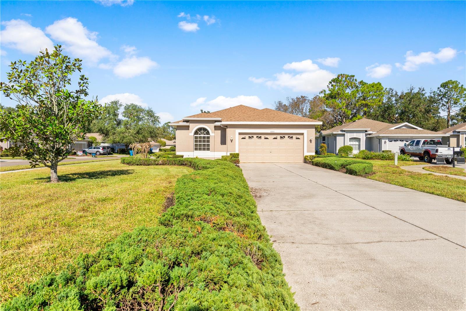 4201 SILVER BERRY CT, SPRING HILL, FL, 34609
