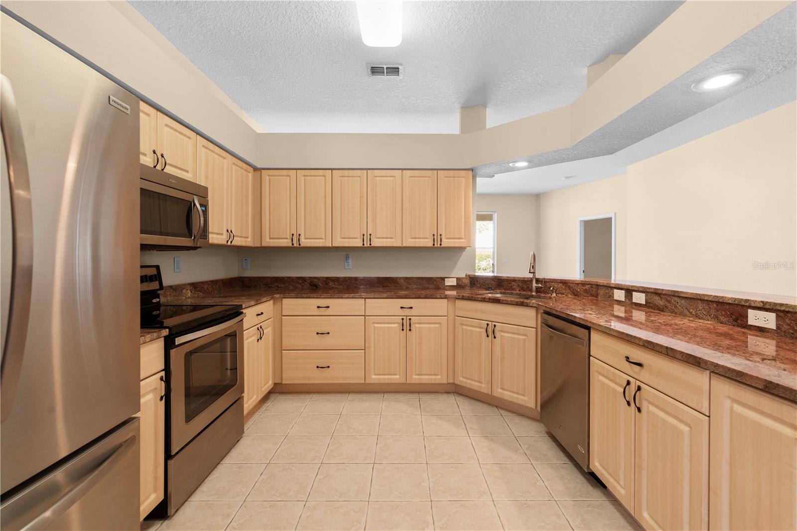 4201 SILVER BERRY CT, SPRING HILL, FL, 34609
