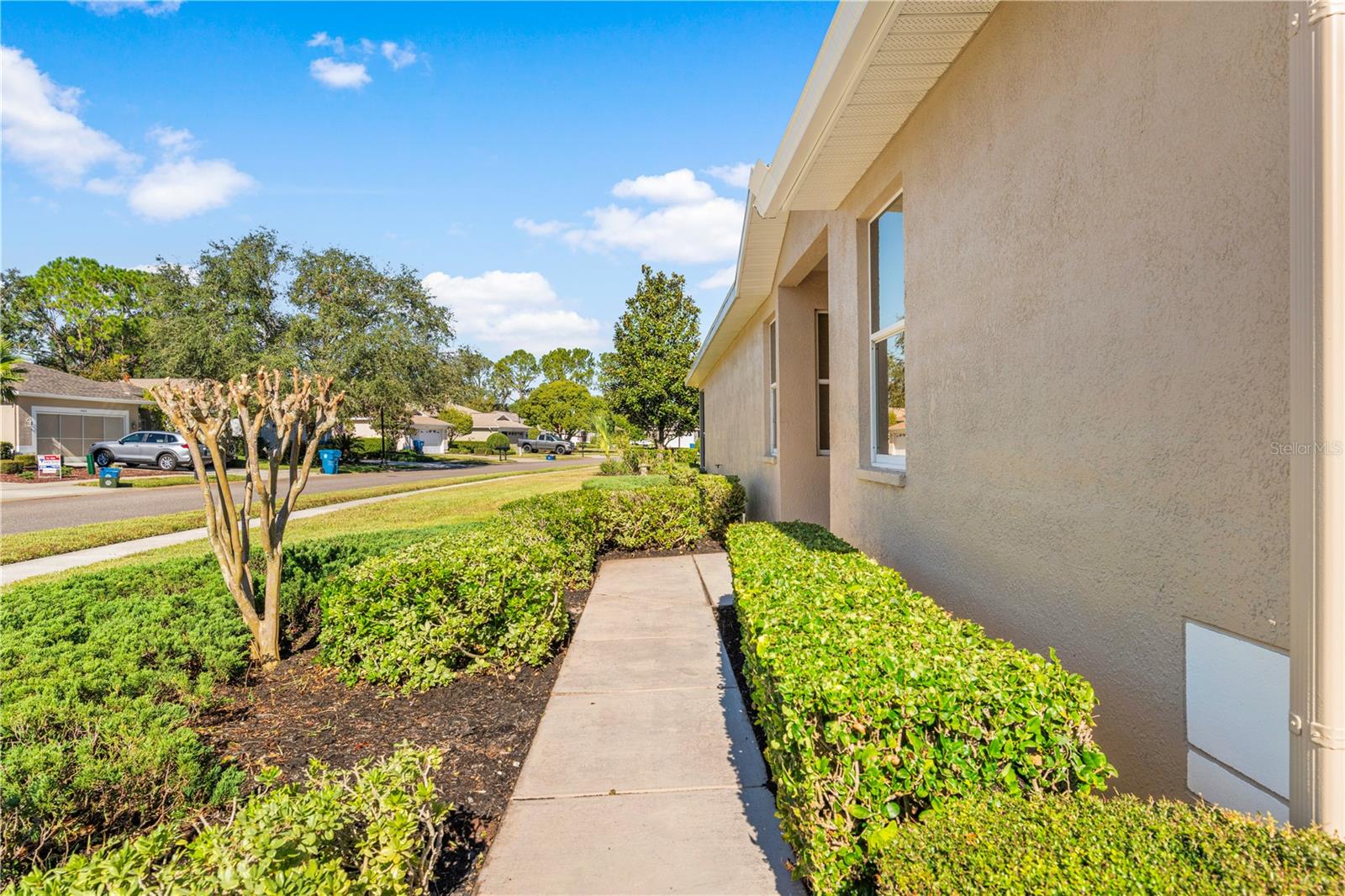 4201 SILVER BERRY CT, SPRING HILL, FL, 34609