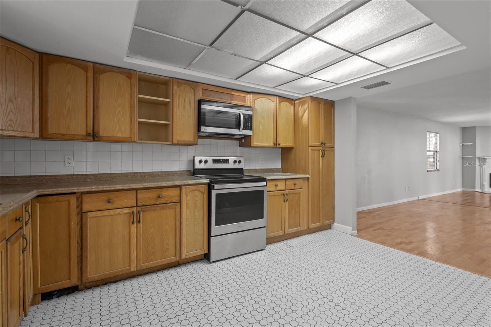 1321 RIVERSIDE DR, TARPON SPRINGS, FL, 34689