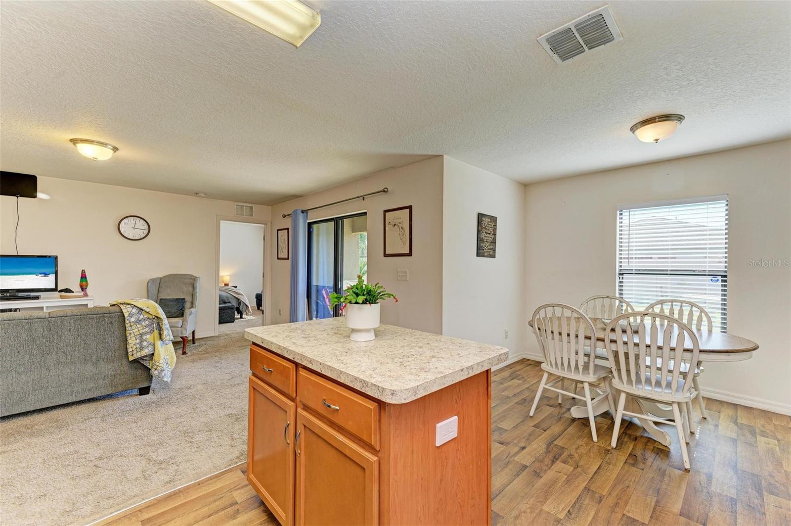 925 WYNNMERE WALK AVE, RUSKIN, FL, 33570
