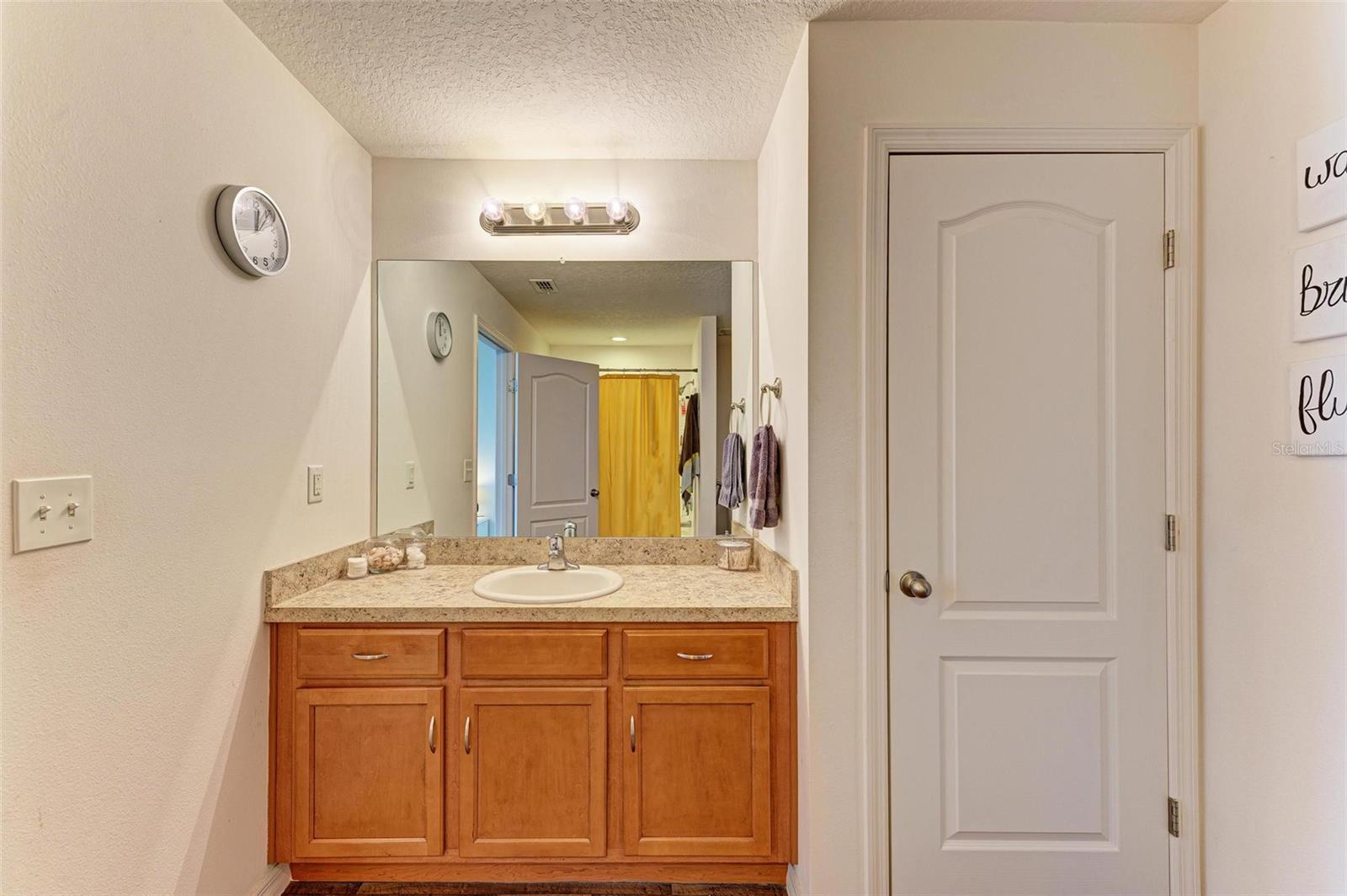 925 WYNNMERE WALK AVE, RUSKIN, FL, 33570