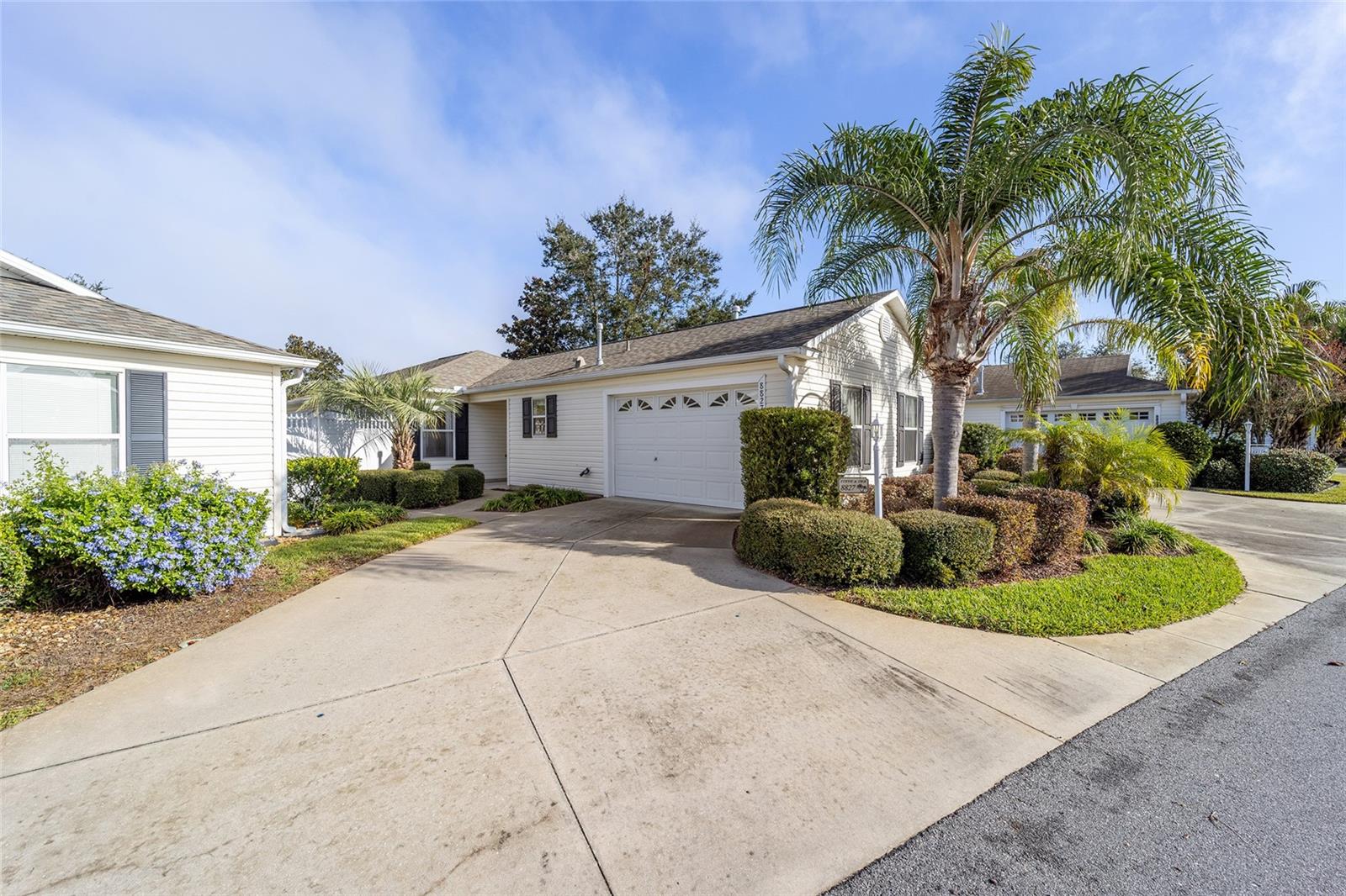 8827 SE 168TH TAILFER ST, THE VILLAGES, FL, 32162