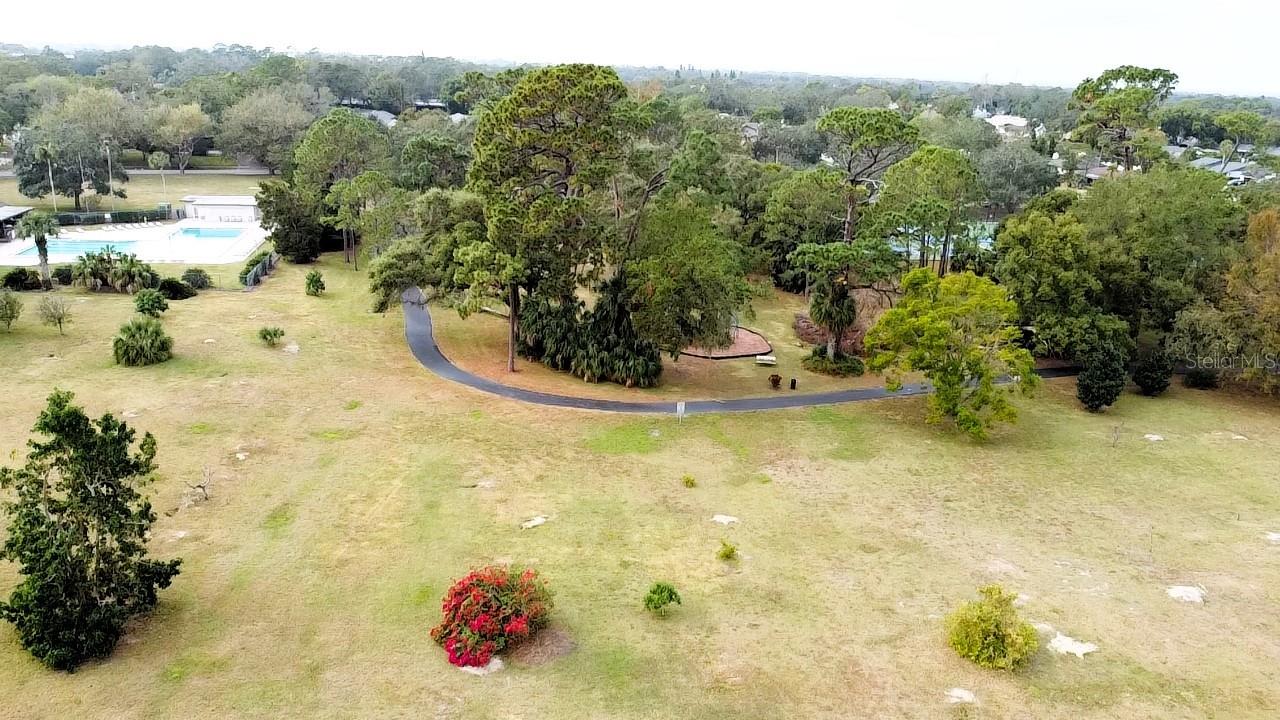 915 ROLLING HILLS DR, PALM HARBOR, FL, 34683