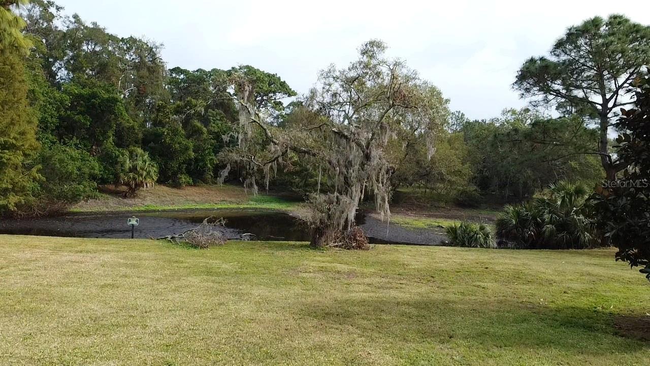 915 ROLLING HILLS DR, PALM HARBOR, FL, 34683