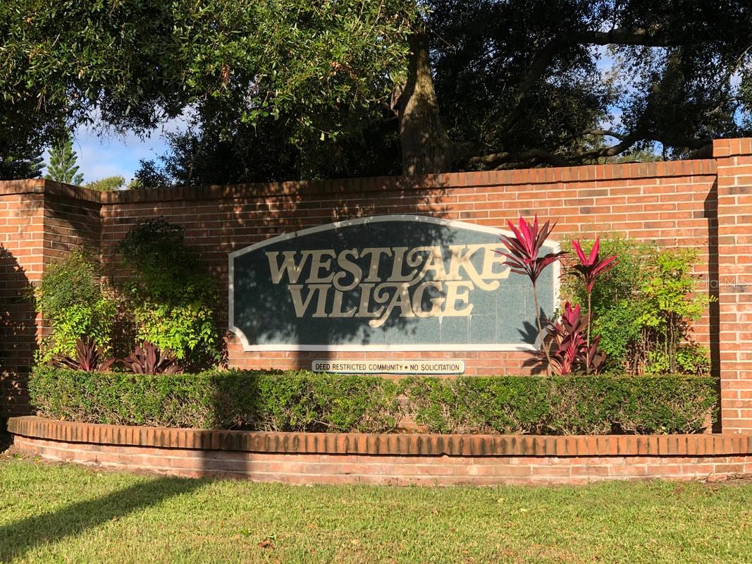 915 ROLLING HILLS DR, PALM HARBOR, FL, 34683