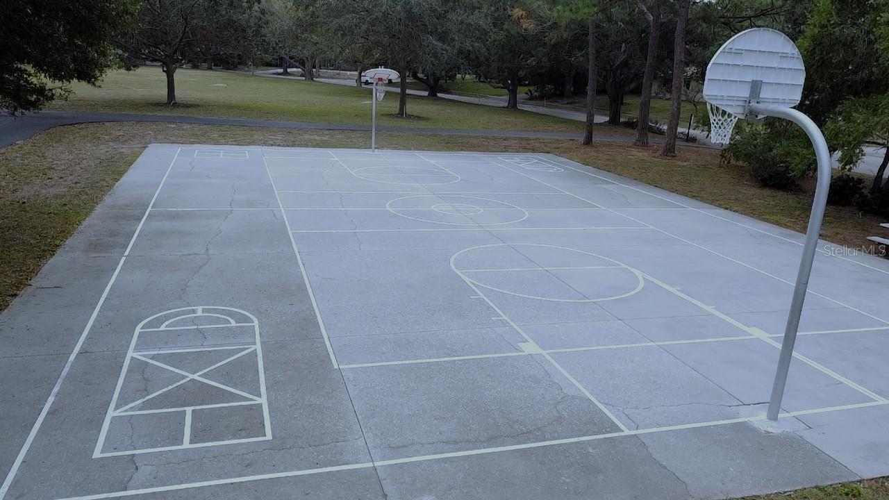 915 ROLLING HILLS DR, PALM HARBOR, FL, 34683