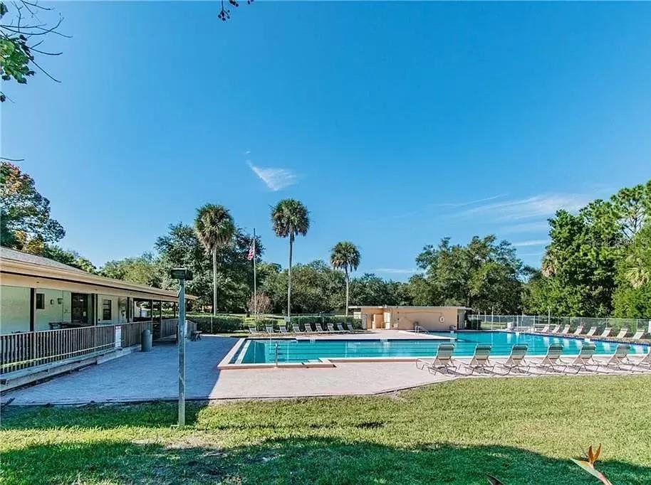 915 ROLLING HILLS DR, PALM HARBOR, FL, 34683