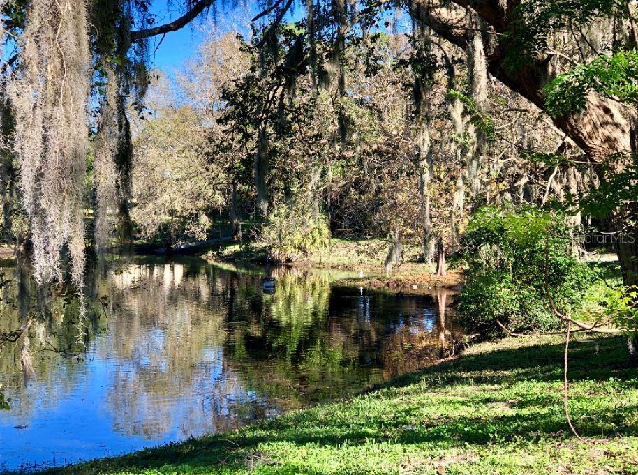 915 ROLLING HILLS DR, PALM HARBOR, FL, 34683