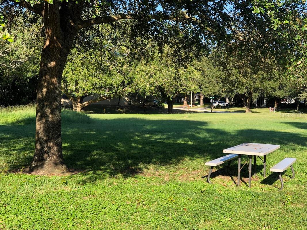 915 ROLLING HILLS DR, PALM HARBOR, FL, 34683