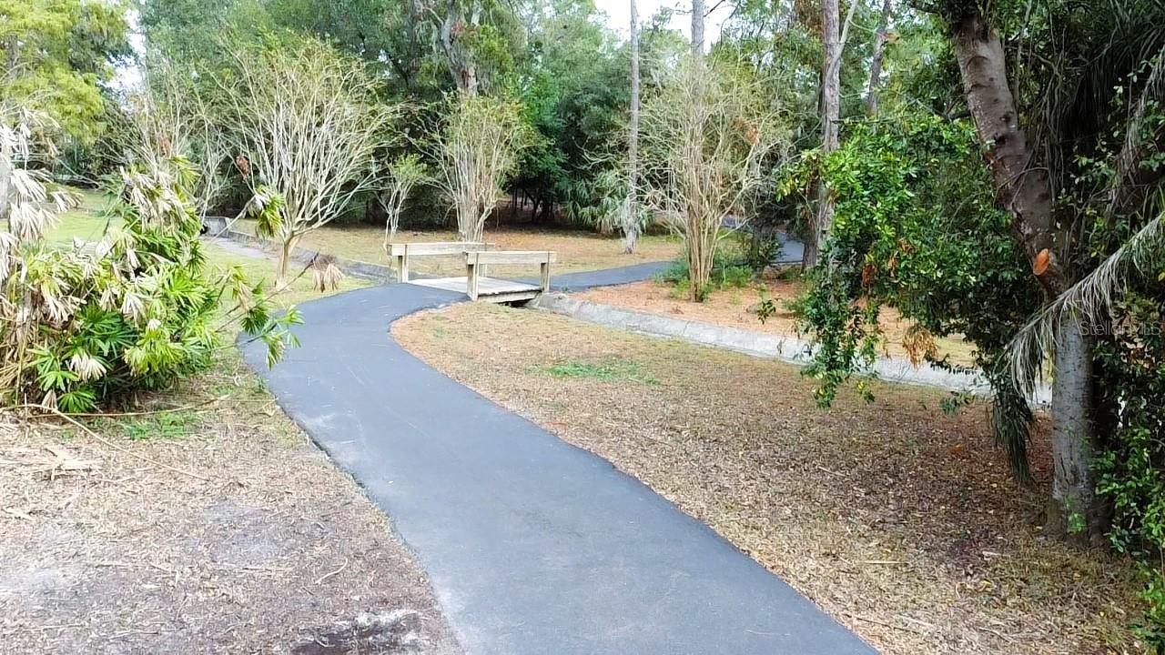 915 ROLLING HILLS DR, PALM HARBOR, FL, 34683