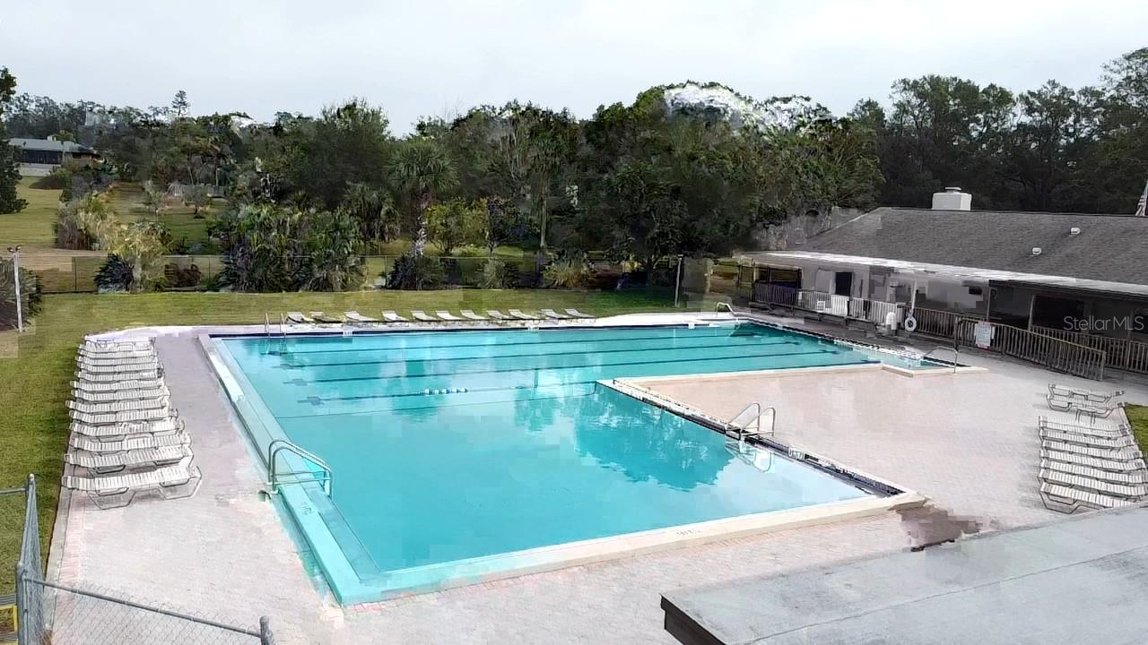 915 ROLLING HILLS DR, PALM HARBOR, FL, 34683