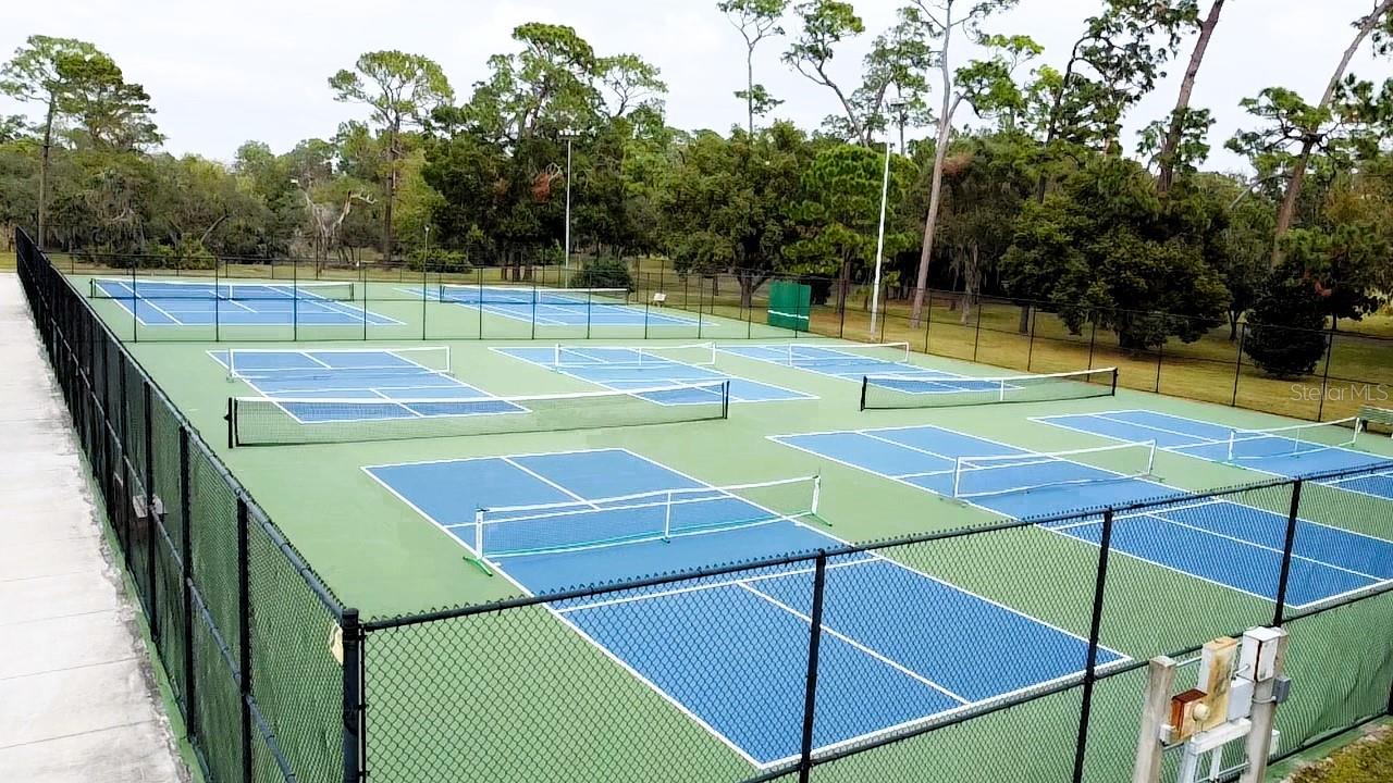 915 ROLLING HILLS DR, PALM HARBOR, FL, 34683