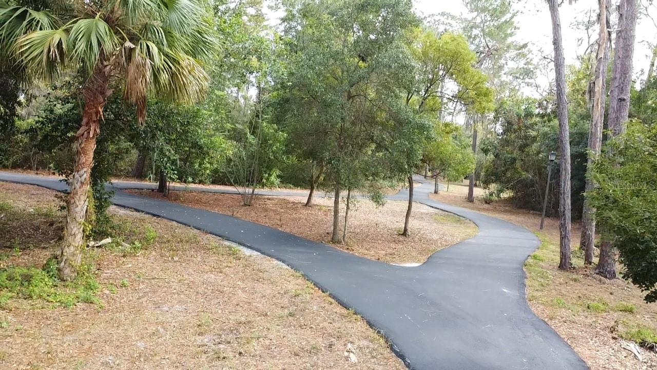 915 ROLLING HILLS DR, PALM HARBOR, FL, 34683