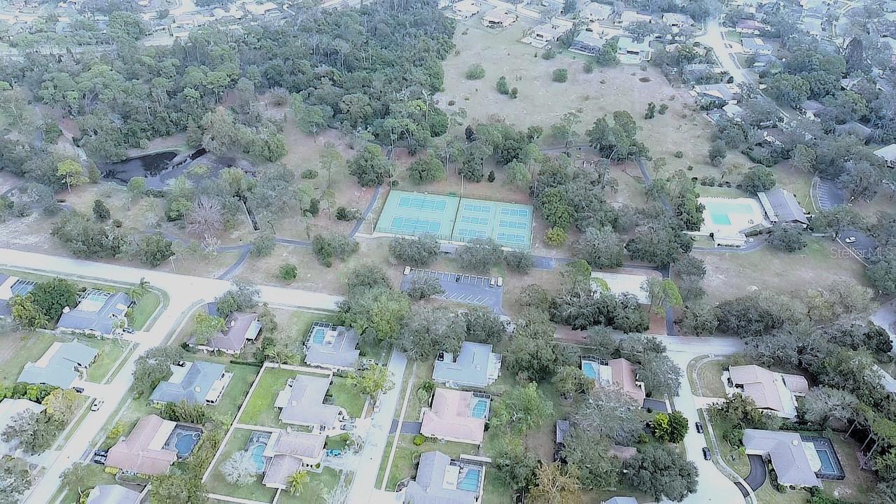 915 ROLLING HILLS DR, PALM HARBOR, FL, 34683