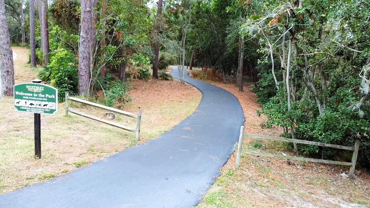 915 ROLLING HILLS DR, PALM HARBOR, FL, 34683