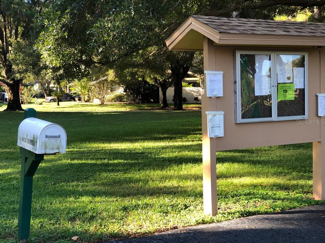 915 ROLLING HILLS DR, PALM HARBOR, FL, 34683