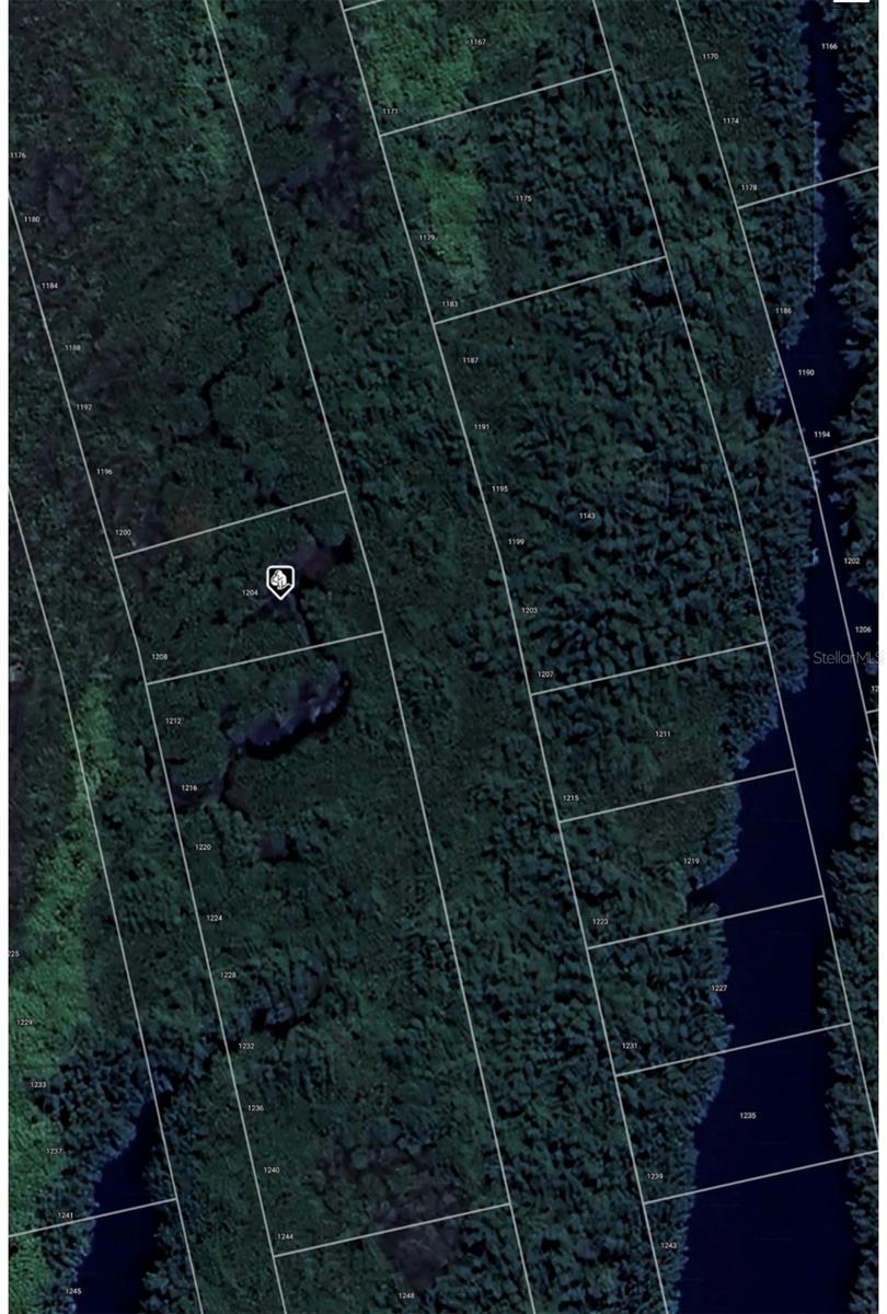 1204 MALALUKA CT, PUNTA GORDA, FL, 33983
