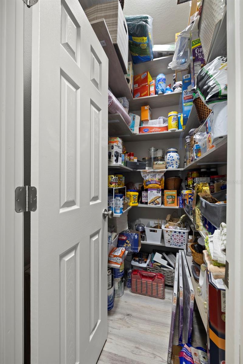 9723 ROLLING CIR, SAN ANTONIO, FL, 33576