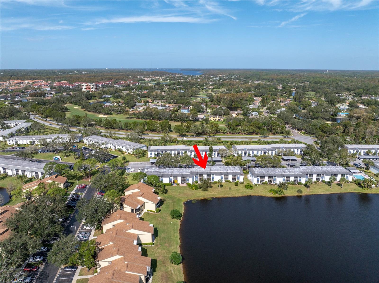 254 CYPRESS LN #254, OLDSMAR, FL, 34677