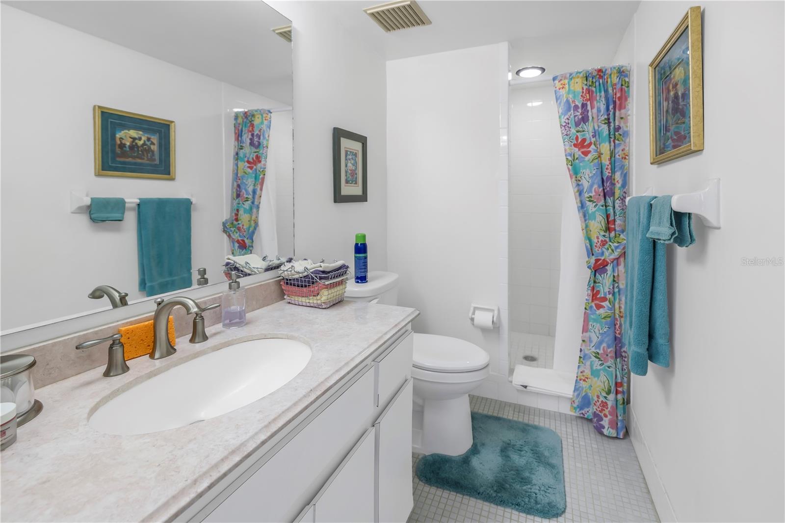 254 CYPRESS LN #254, OLDSMAR, FL, 34677