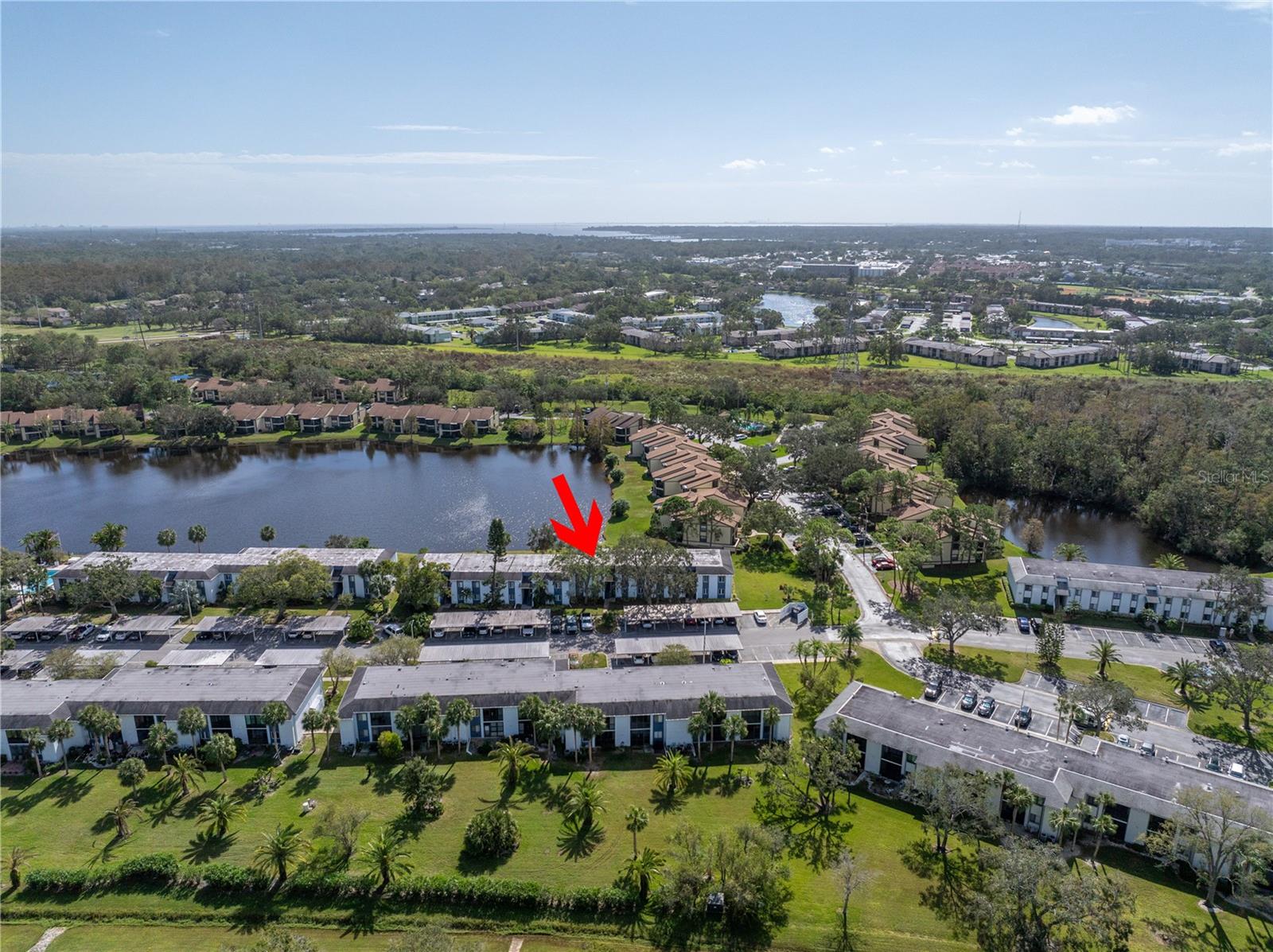 254 CYPRESS LN #254, OLDSMAR, FL, 34677