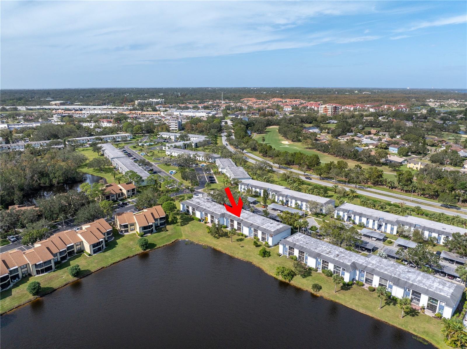 254 CYPRESS LN #254, OLDSMAR, FL, 34677