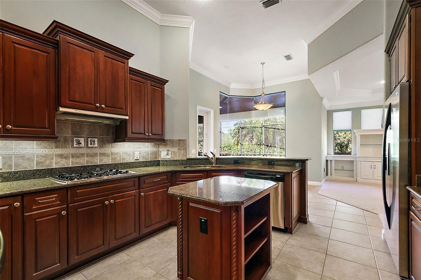 9813 SANTA CLARA CT, HOWEY IN THE HILLS, FL, 34737