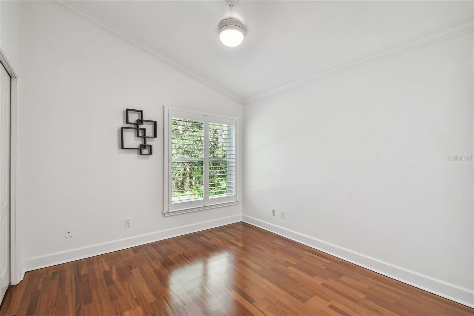 276 TIMBERLAND CT, OLDSMAR, FL, 34677