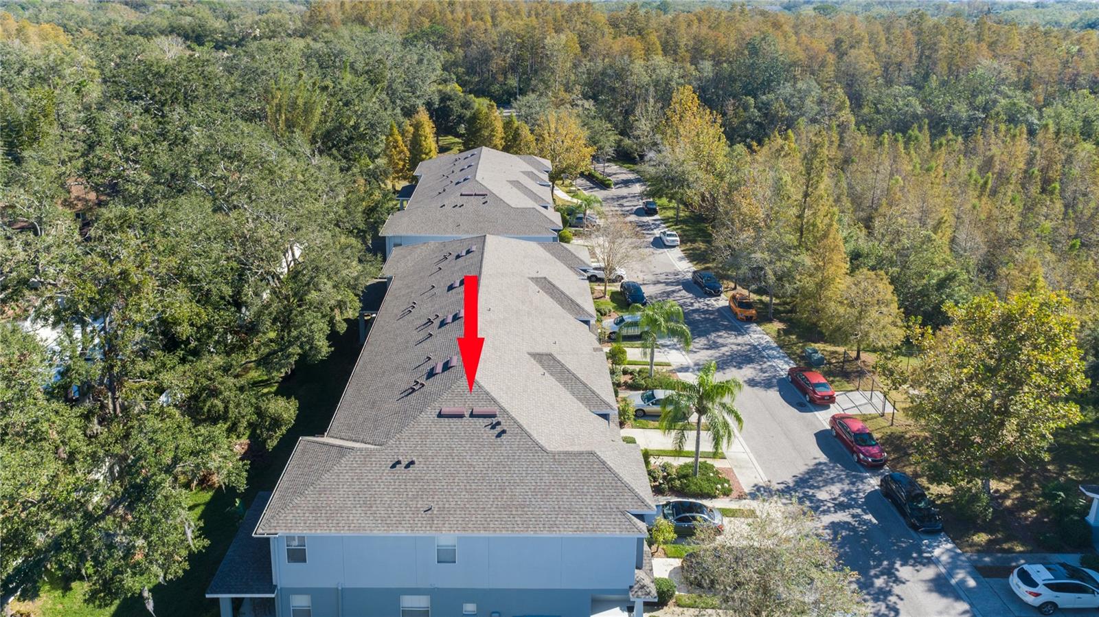 4445 AMBERLY OAKS CT, TAMPA, FL, 33614