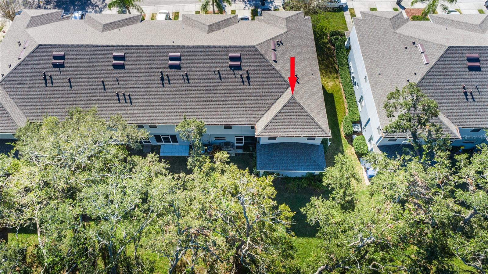 4445 AMBERLY OAKS CT, TAMPA, FL, 33614