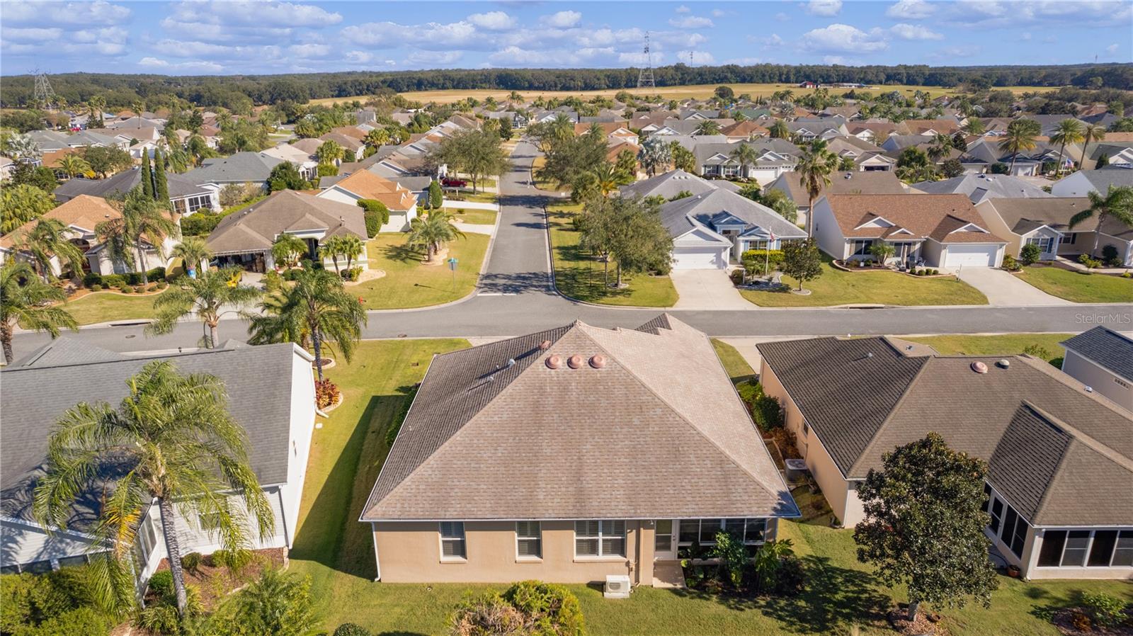 426 ELLENTON RUN, THE VILLAGES, FL, 32162