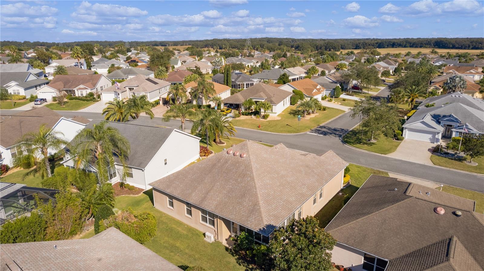 426 ELLENTON RUN, THE VILLAGES, FL, 32162