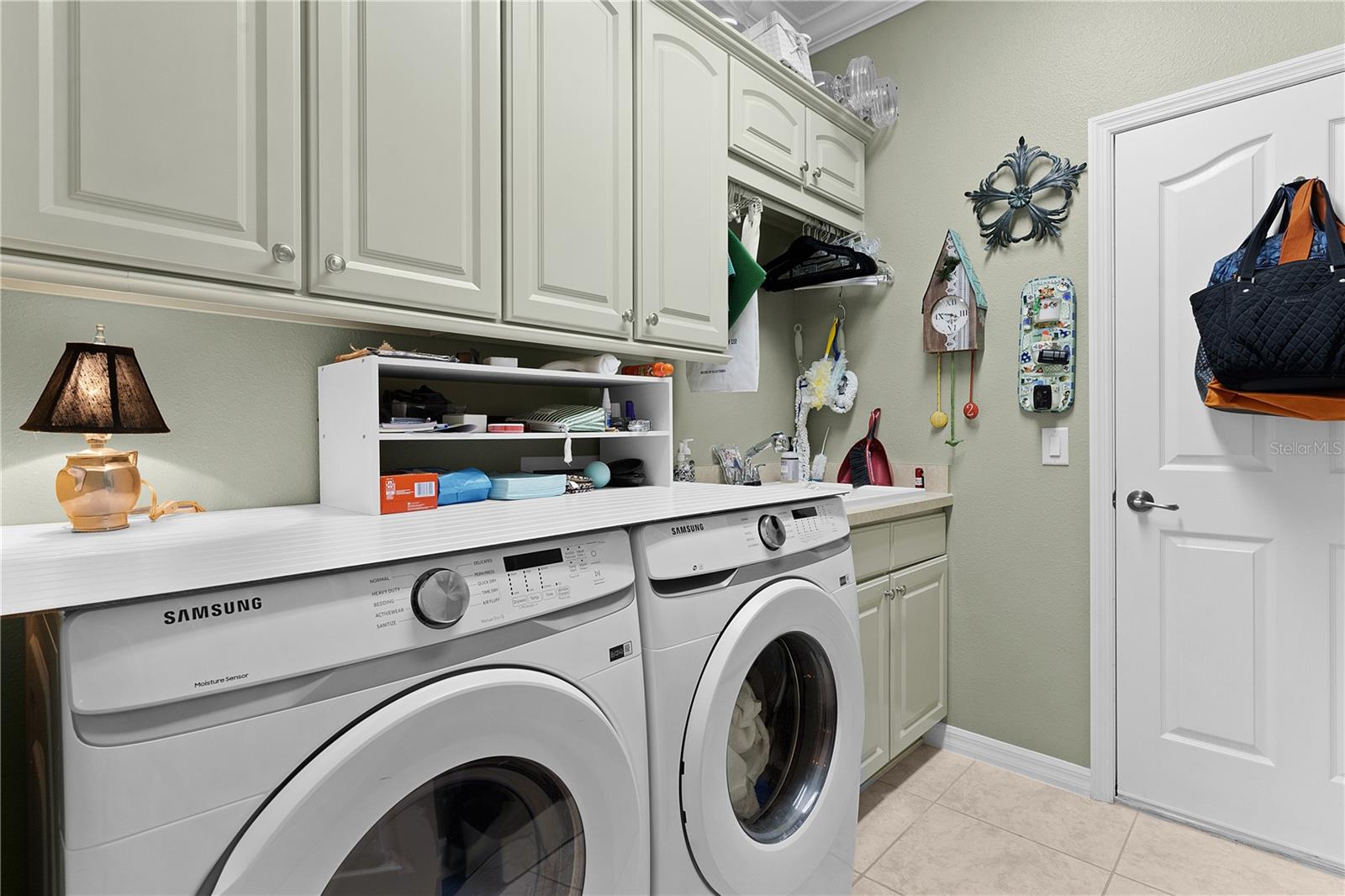 426 ELLENTON RUN, THE VILLAGES, FL, 32162