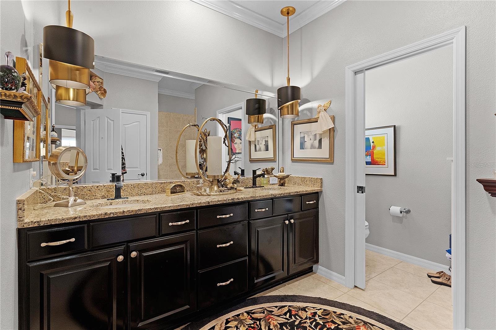 426 ELLENTON RUN, THE VILLAGES, FL, 32162