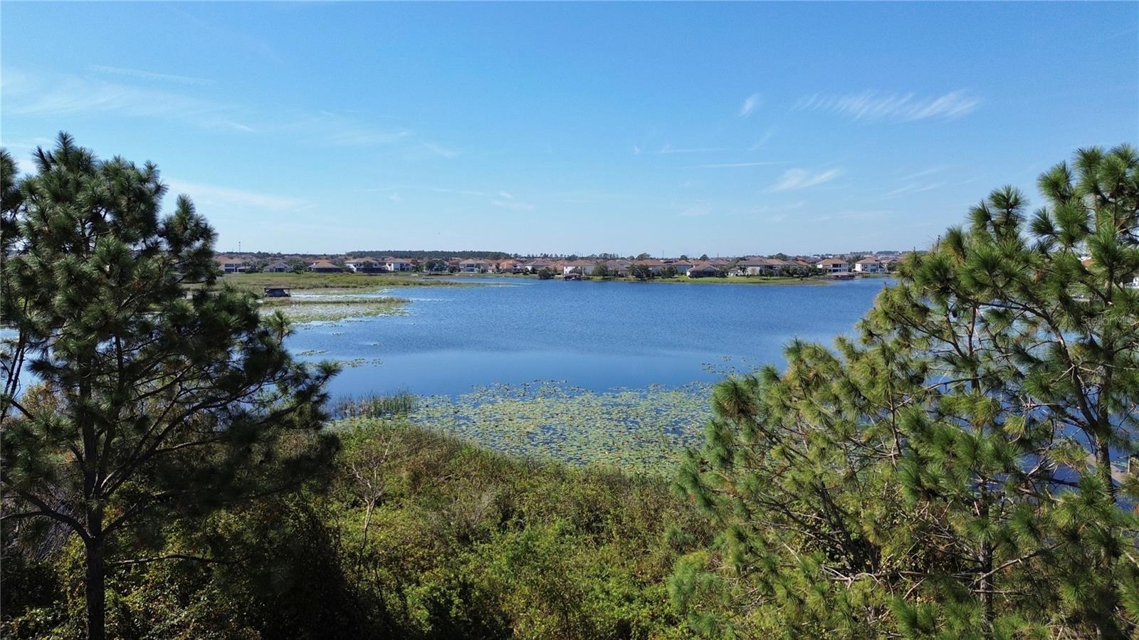 5613 NEW INDEPENDENCE PKWY, WINTER GARDEN, FL, 34787