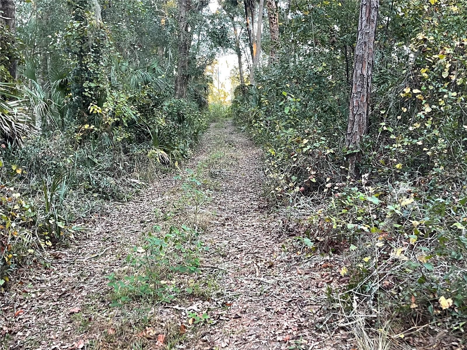 353 VANNOTE RD, PIERSON, FL, 32180