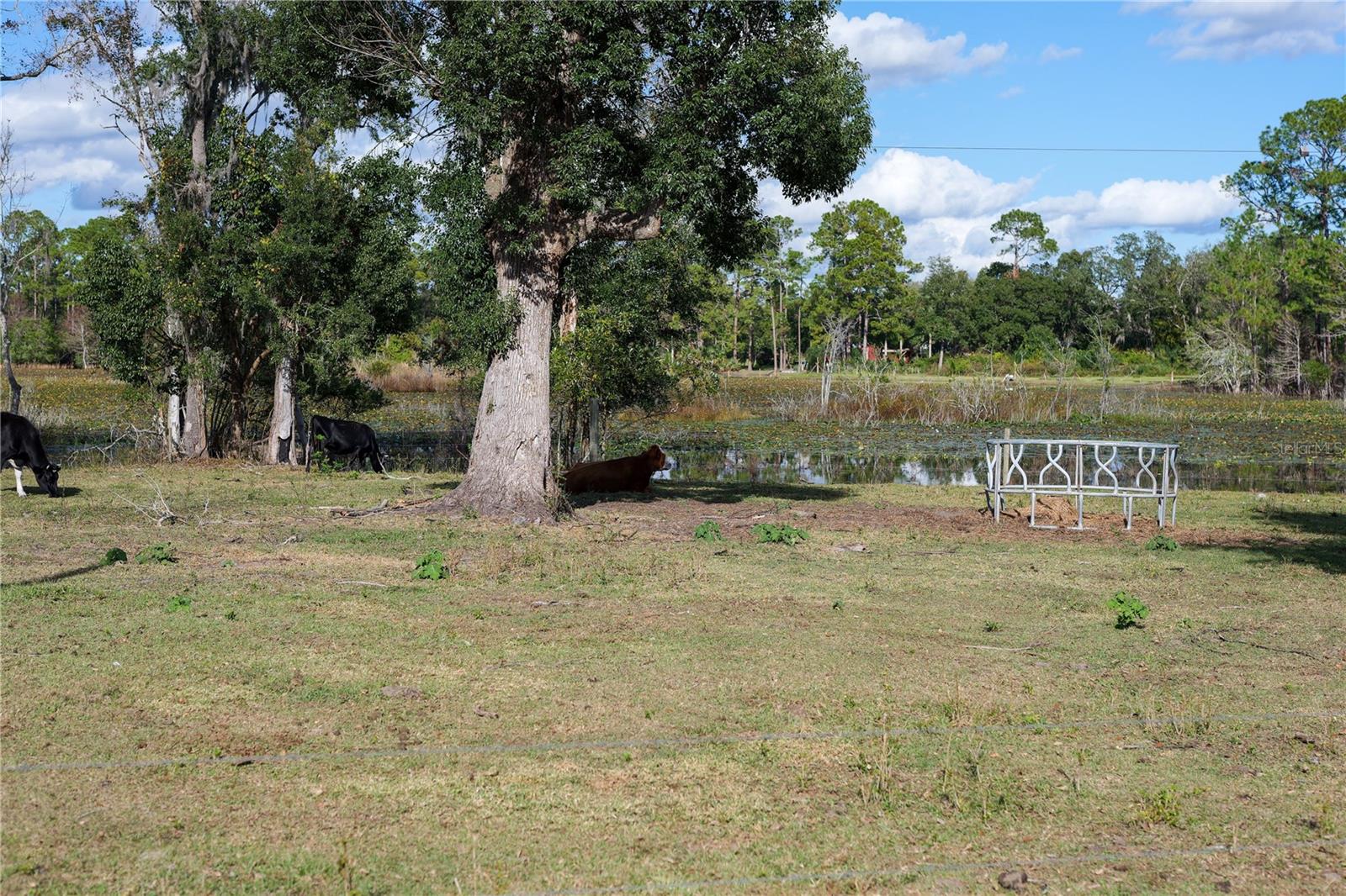 353 VANNOTE RD, PIERSON, FL, 32180