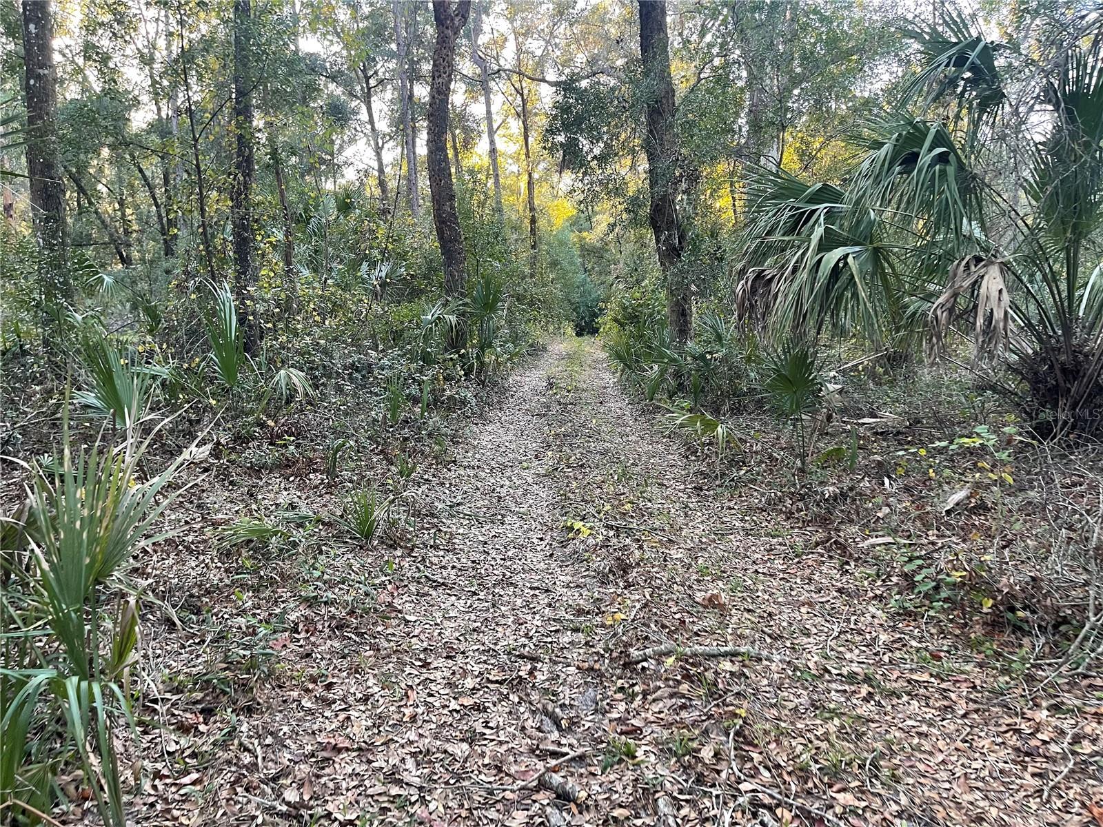 353 VANNOTE RD, PIERSON, FL, 32180