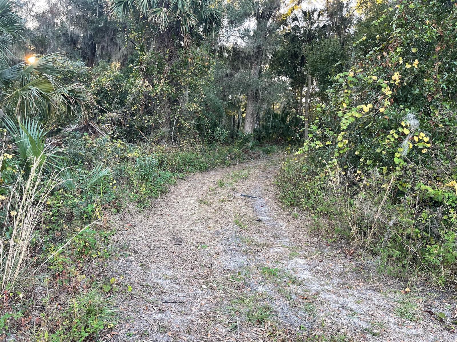 353 VANNOTE RD, PIERSON, FL, 32180