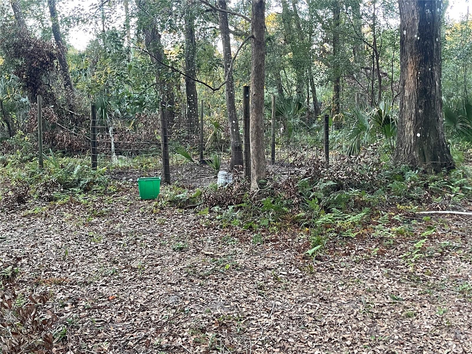 353 VANNOTE RD, PIERSON, FL, 32180
