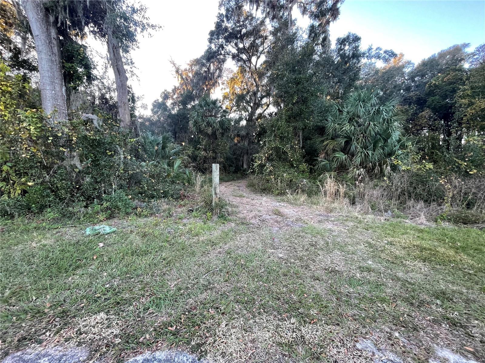 353 VANNOTE RD, PIERSON, FL, 32180