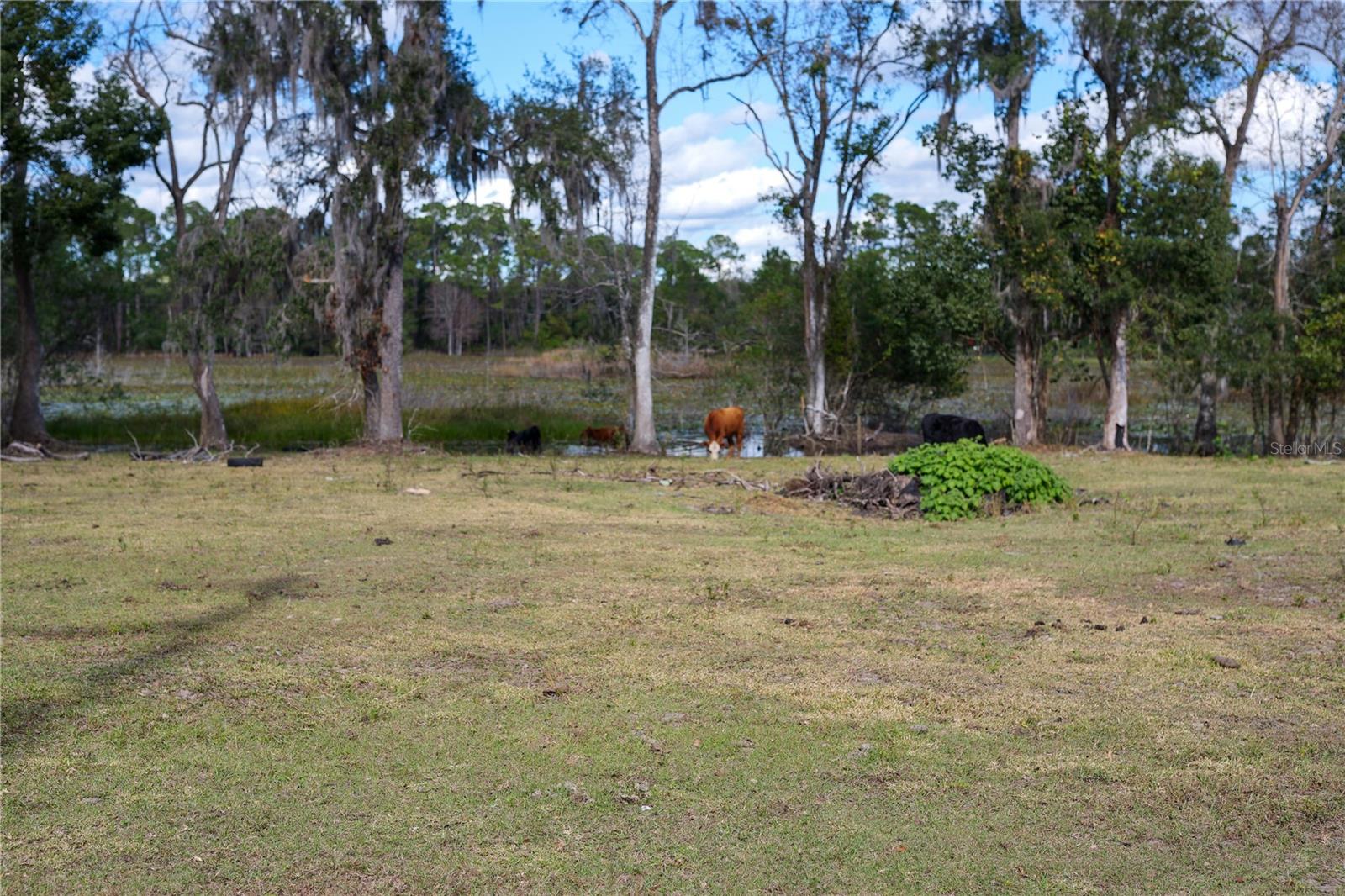 353 VANNOTE RD, PIERSON, FL, 32180