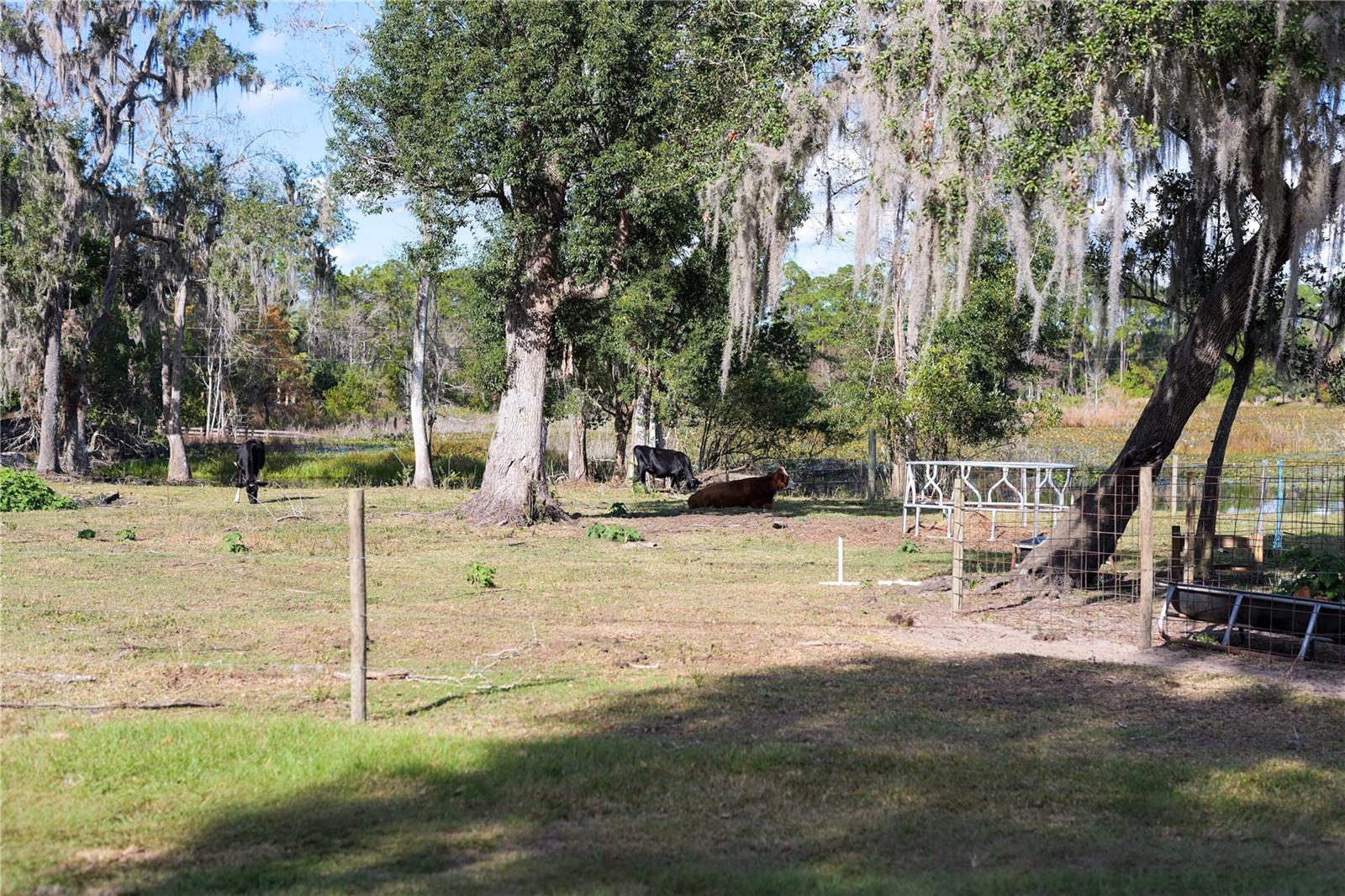 353 VANNOTE RD, PIERSON, FL, 32180