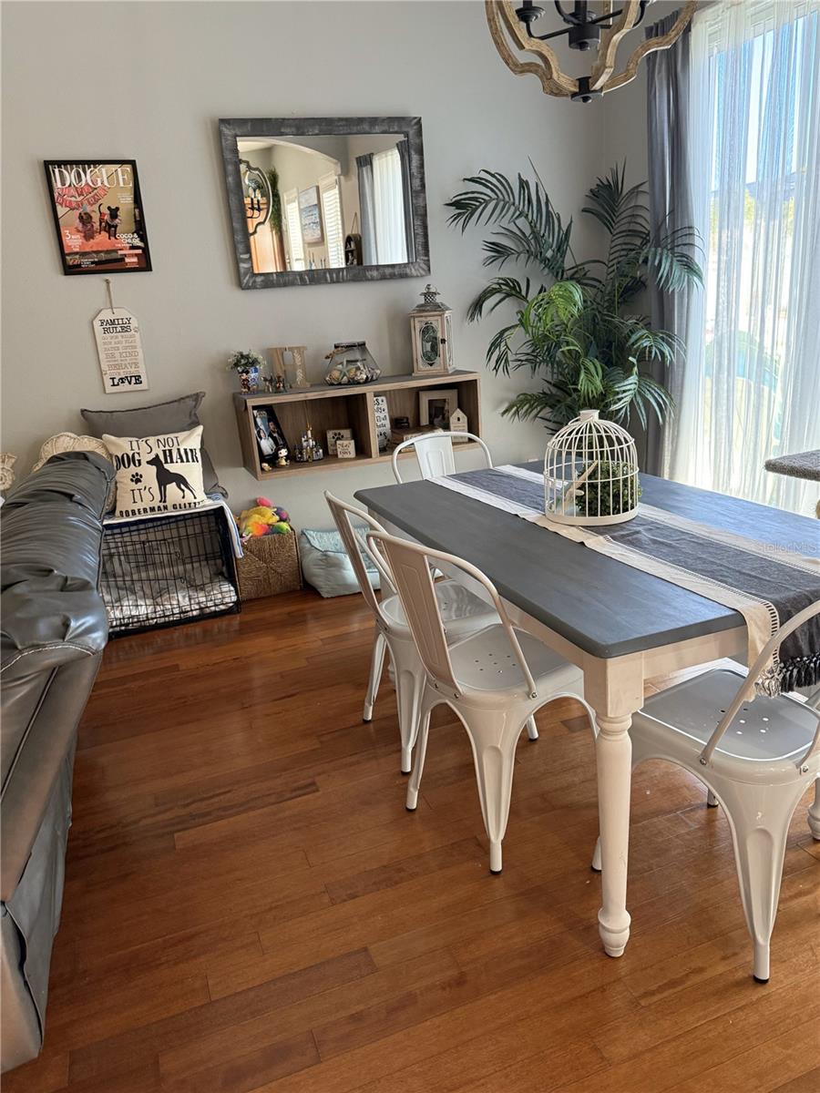 6519 SIMONE SHORES CIR, APOLLO BEACH, FL, 33572